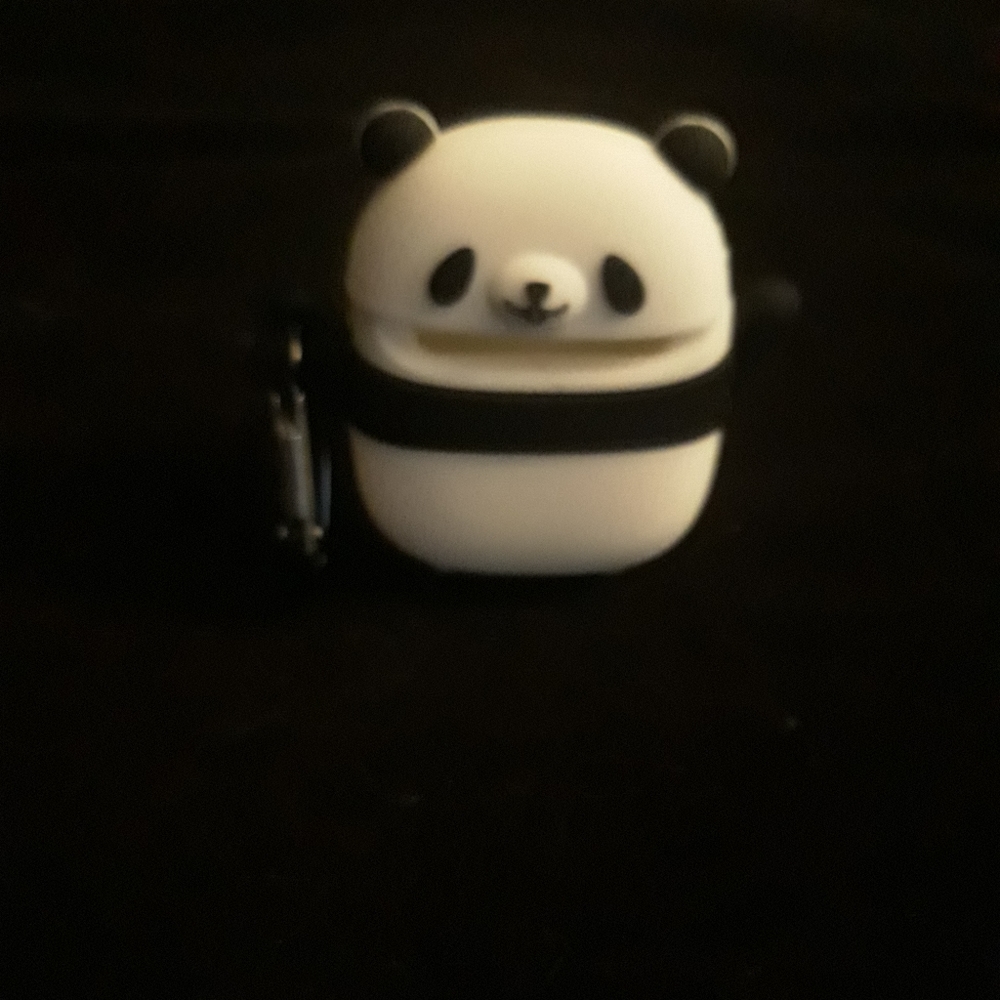 Airpod case